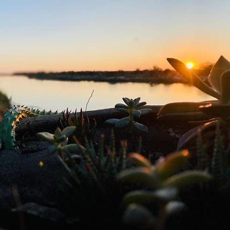 Kuvira River Camp Divundu Eksteriør bilde